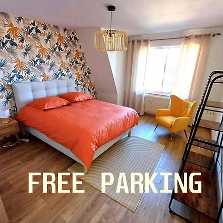 Confortable Spacieux Grand Rue - Garage Saverne Zewnętrze zdjęcie